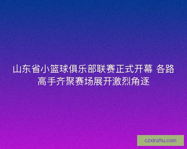 山东省小篮球俱乐部联赛正式开幕 各路高手齐聚赛场展开激烈角逐