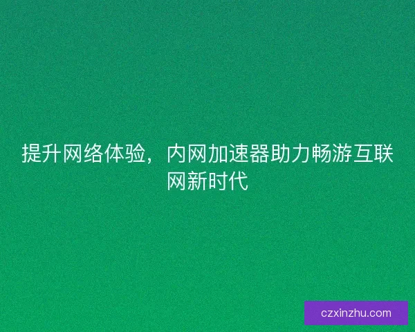 提升网络体验，内网加速器助力畅游互联网新时代