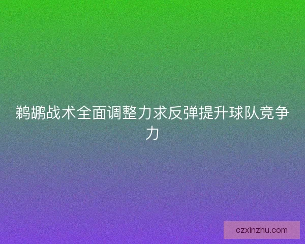 鹈鹕战术全面调整力求反弹提升球队竞争力